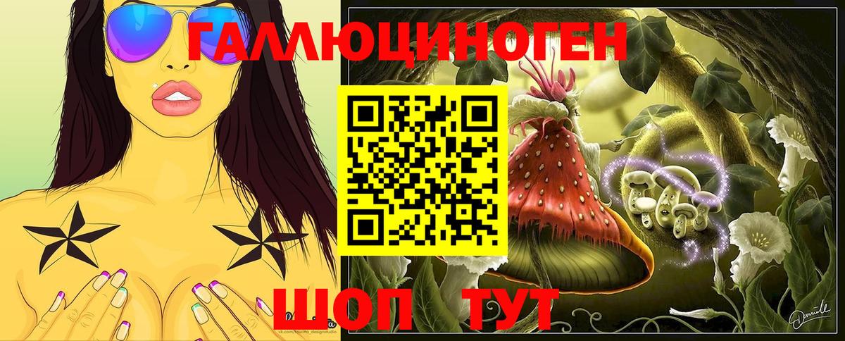 Галлюциногенные грибы мухоморы Гусь-Хрустальный