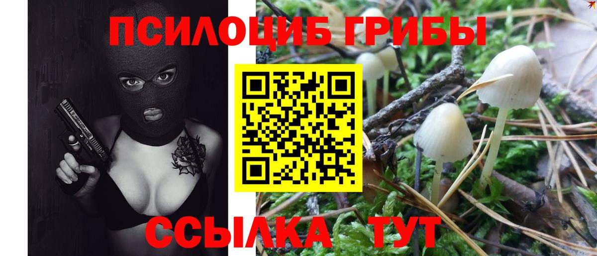 Гусь-Хрустальный  купить   Вход с VPN  Галлюциногенные грибы MAGIC MUSHROOMS 
